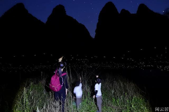 机智问答网页-聪明解答男生可以回复我说,其实我也很笨吗?